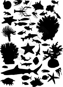 白色背景上孤立的一组海洋动物环形影带W背景图片