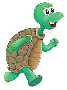 一只老乌龟在白色背景上奔跑的插图背景图片