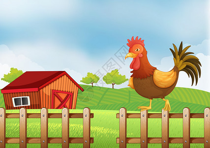栅栏上方一只公鸡的插图图片