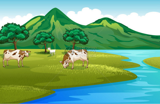 河岸上的牛和山羊的插图图片