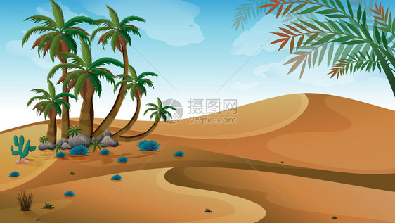棕榈树沙漠的插图图片