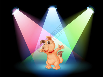 展示舞台中心有一只红领狗背景图片