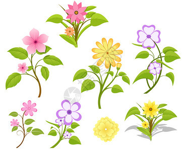 一套装饰自然鲜花的绘图图片