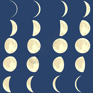 矢量月相图片