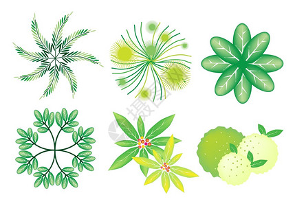 园林装饰用树顶符号或几何树和植物的插图集GardenDeco图片