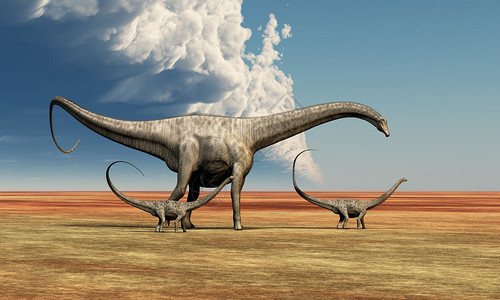 一位戴普洛多克斯女恐龙在地球历史的白鲸时代陪伴图片