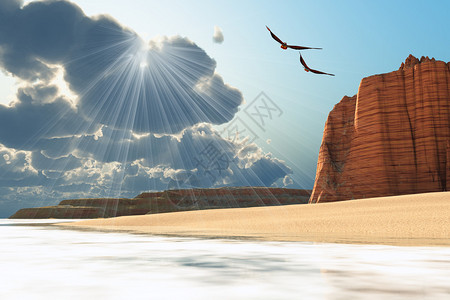 两只秃鹰在海边的山崖附近飞翔图片