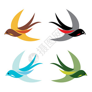 剪纸燕子四只在白色背景下飞行的多彩鸟类插画