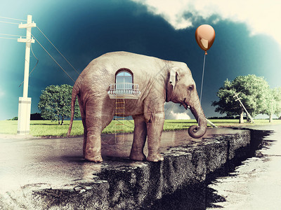 大象作为破碎道路概念上的一栋房子照片和手绘元图片
