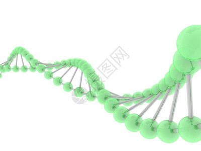 分筛绿色DNA分插画