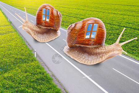 雨天道路一张蜗牛的有趣图片插画