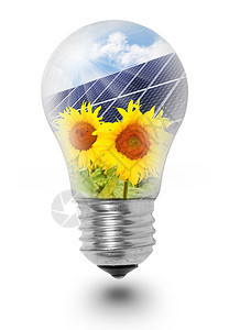 灯泡和日葵上的太阳能电池板概念形图片