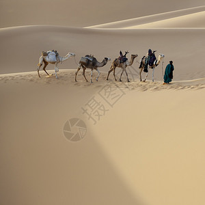 利比亚沙漠旅行者和摄影师的绝佳去处撒哈拉沙漠密集黄沙丘和商背景图片