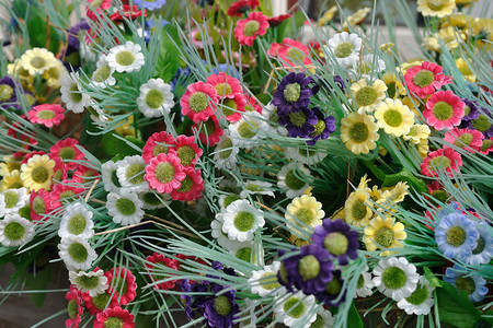 芬兰松木阳台上挂着一组五颜六色的塑料花插画