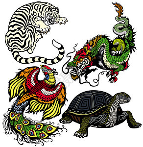 白色老虎绿色龙红色凤凰和黑乌龟一组在白色背景上隔离的四只背景图片