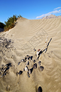 西班牙兰萨罗特岛的抽象黄色沙丘海滩山丘图片