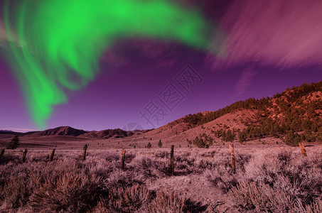 北極村極光青绿的北光照耀着美丽的风景在夜空插画