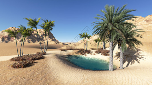 沙漠中的绿洲用3D软件制作图片