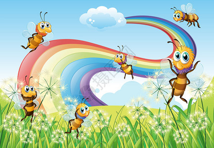 山顶上的蜜蜂和天空中的彩虹的插图图片