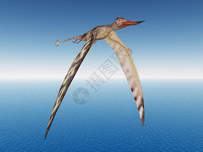 计算机用PterosaurRhamphorhynchus生图片