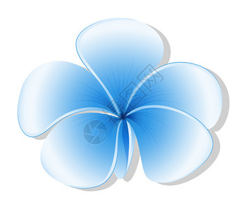 白色背景上新鲜的五瓣蓝色花朵的插图图片