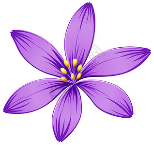 白色背景上的五瓣紫色花的插图图片