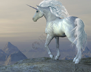 一只白色的独角马从山崖俯视着图片