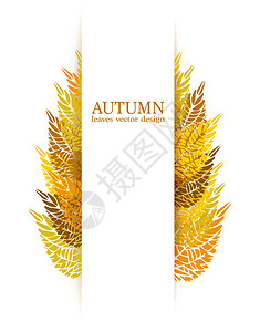 五颜六色的秋天矢量树叶背景宣传册设计图片