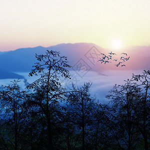 与鸟的山风景图片