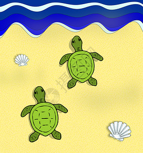 走向大海的两只绿海龟图片