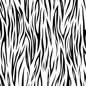 黑白斑马背景的矢量图解图片