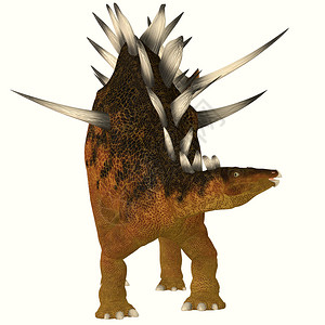 北美侏罗纪时期的巨龙恐脊椎上有板块肩膀和尾部也有图片