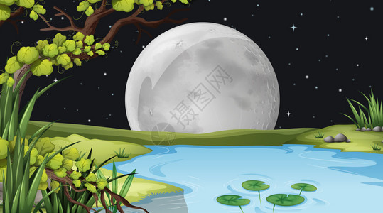 满月下的池塘插图图片