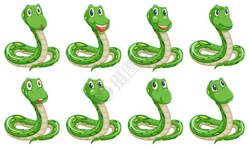 白色背景上不同蛇语表达式的图片
