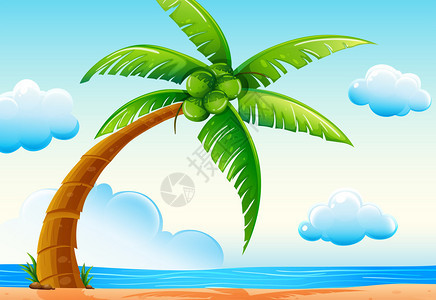 海滩上一棵椰子树的插图图片