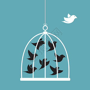 鸟笼图片