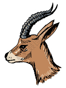 画图,插画_画图,卡通_画图,插图_手绘_板绘_摄图网