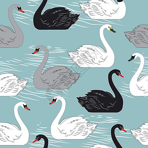 Swans无缝天鹅式矢量模图片