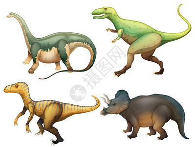 白色背景上四只恐龙的插图图片