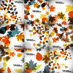 秋天的背景集矢量图图片