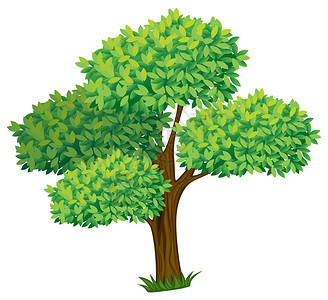一棵卡通树图片
