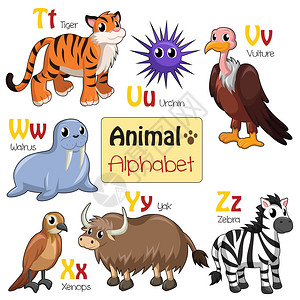 从T到Z字母动物的矢量图解图片