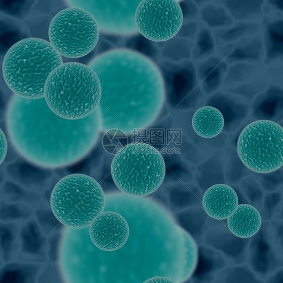 细菌或球体图片