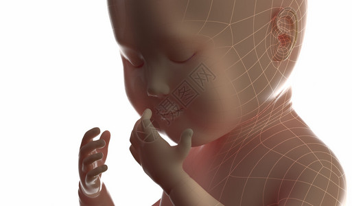 3d4d超声波扫描胎儿怀孕概念孤立图片