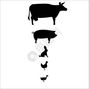 用于人口图表的农场动物图片
