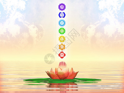 说明一个神圣的莲花和Chakrama图片