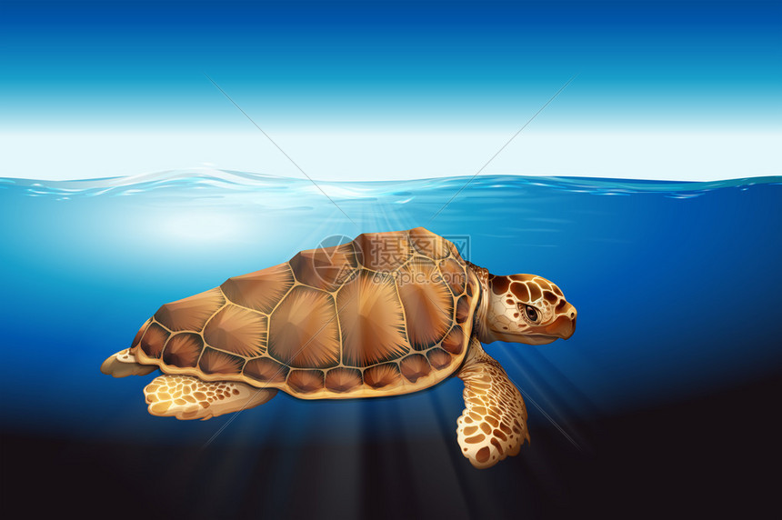 海龟游泳插画图片下载-正版图片402262744-摄图网