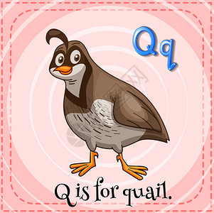 的字母Q图片