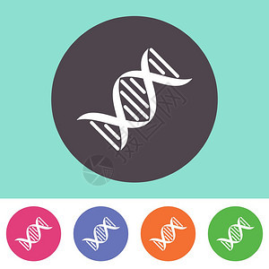 圆多彩按钮上的矢量D图片
