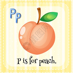 字母P的插图是桃子图片
